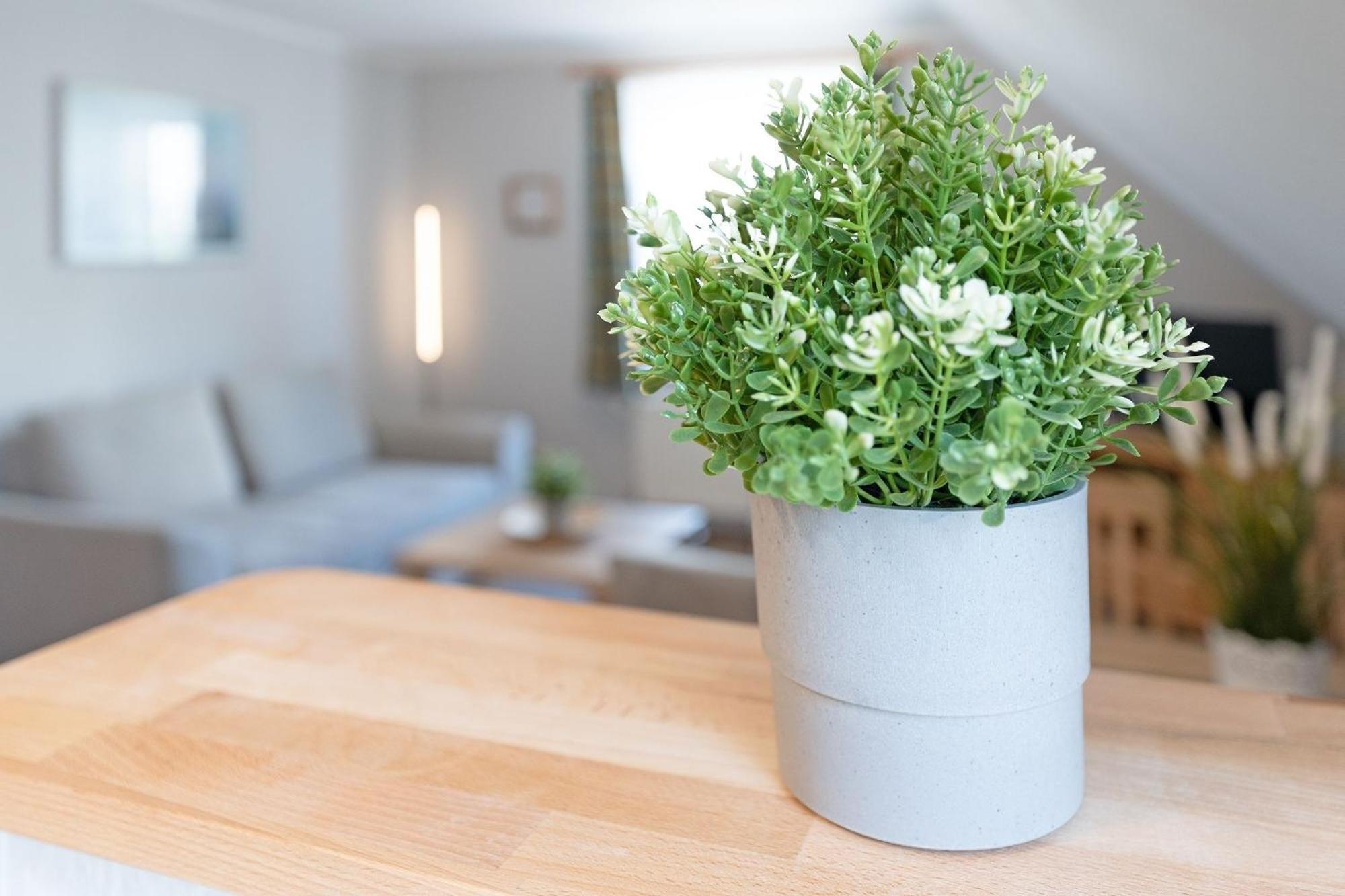 Apartmán Fahrenkrug Nordlicht Scharbeutz Exteriér fotografie